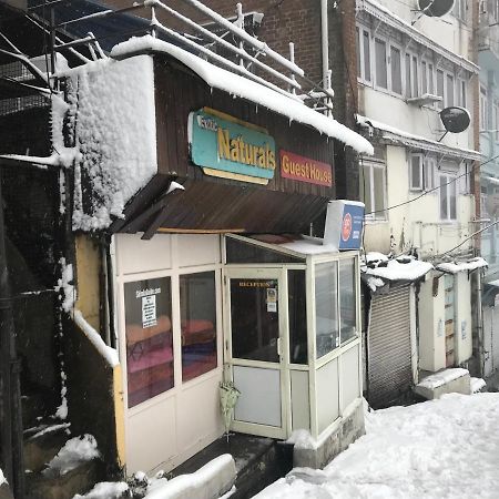 Exotic Naturals Guest House Shimla Zewnętrze zdjęcie