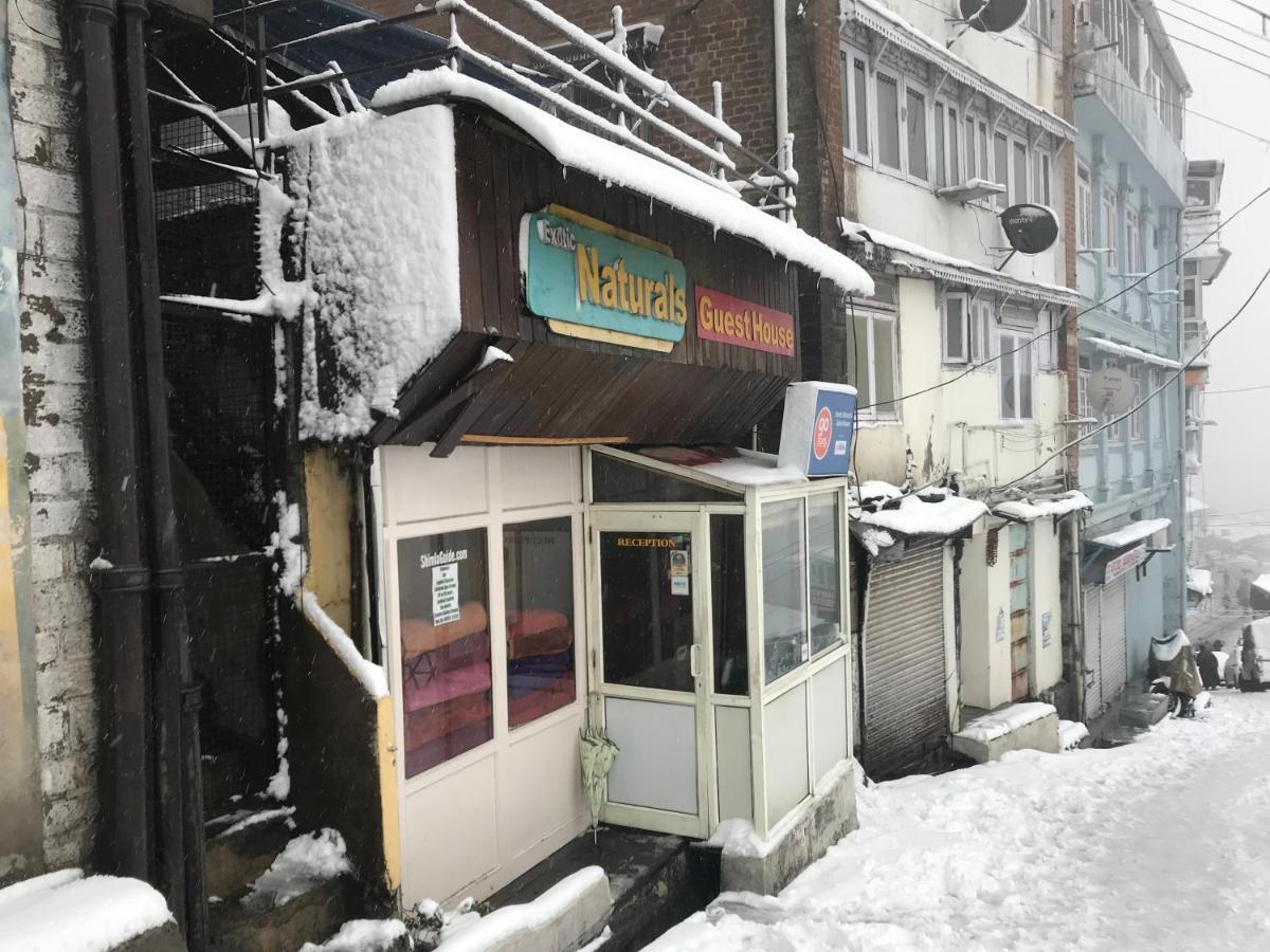 Exotic Naturals Guest House Shimla Zewnętrze zdjęcie